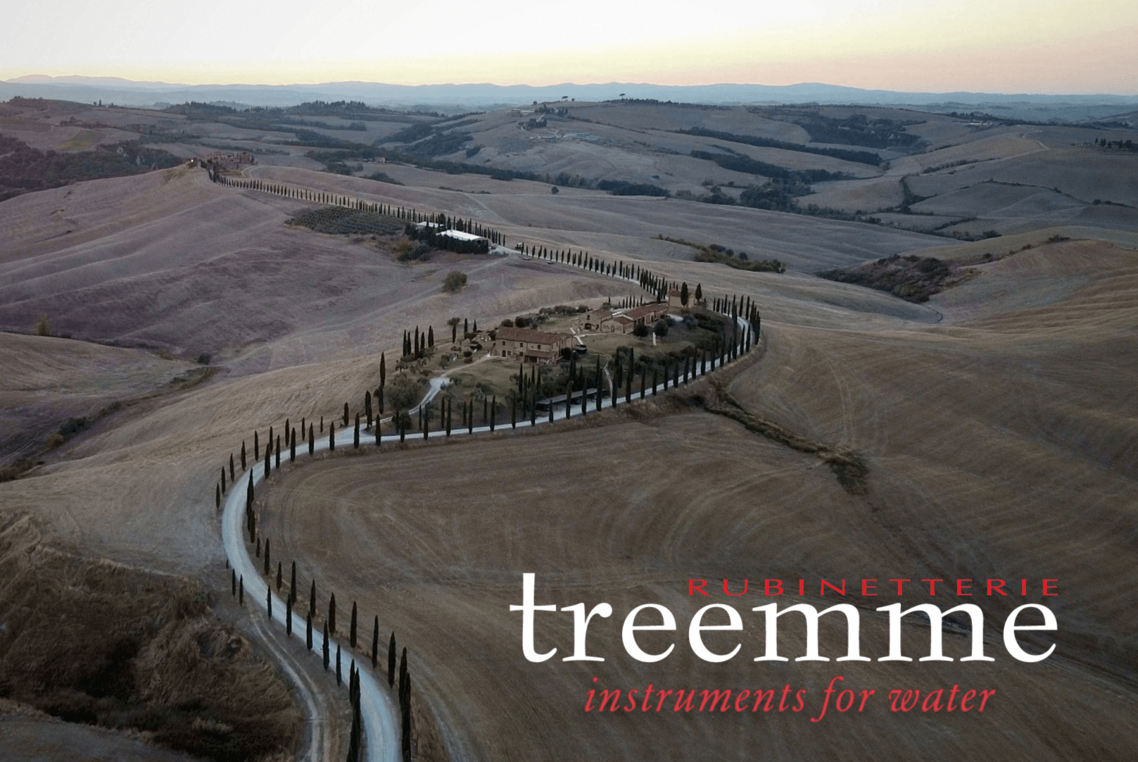 Корни Treemme